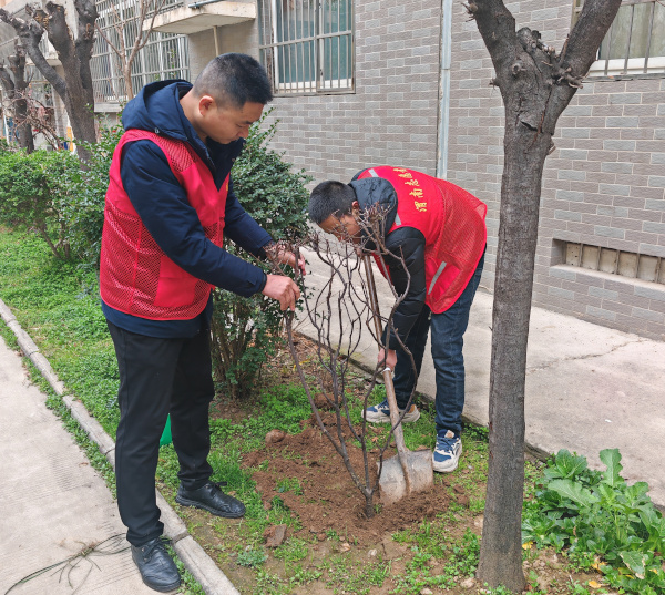 种下一片新绿 共建美好家园